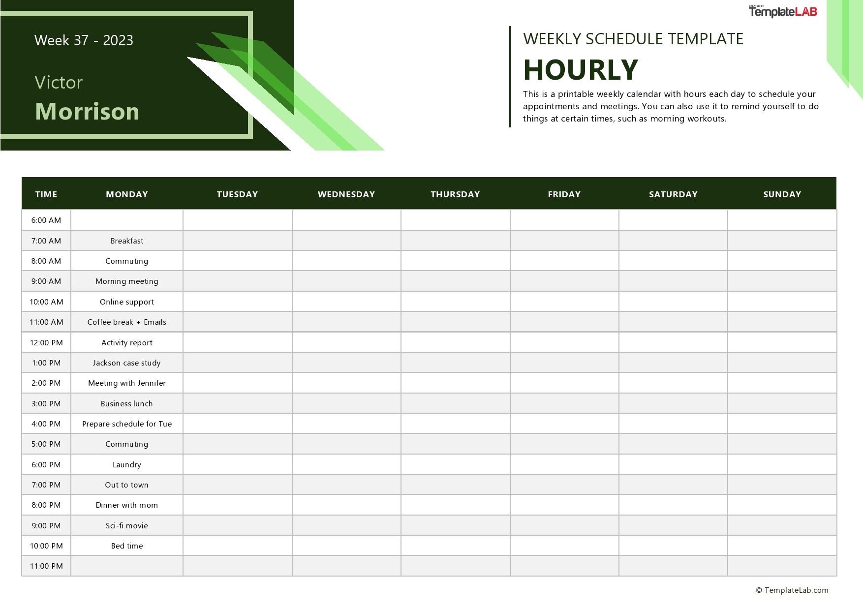 43 Effective Hourly Schedule Templates Excel Word PDF TemplateLab