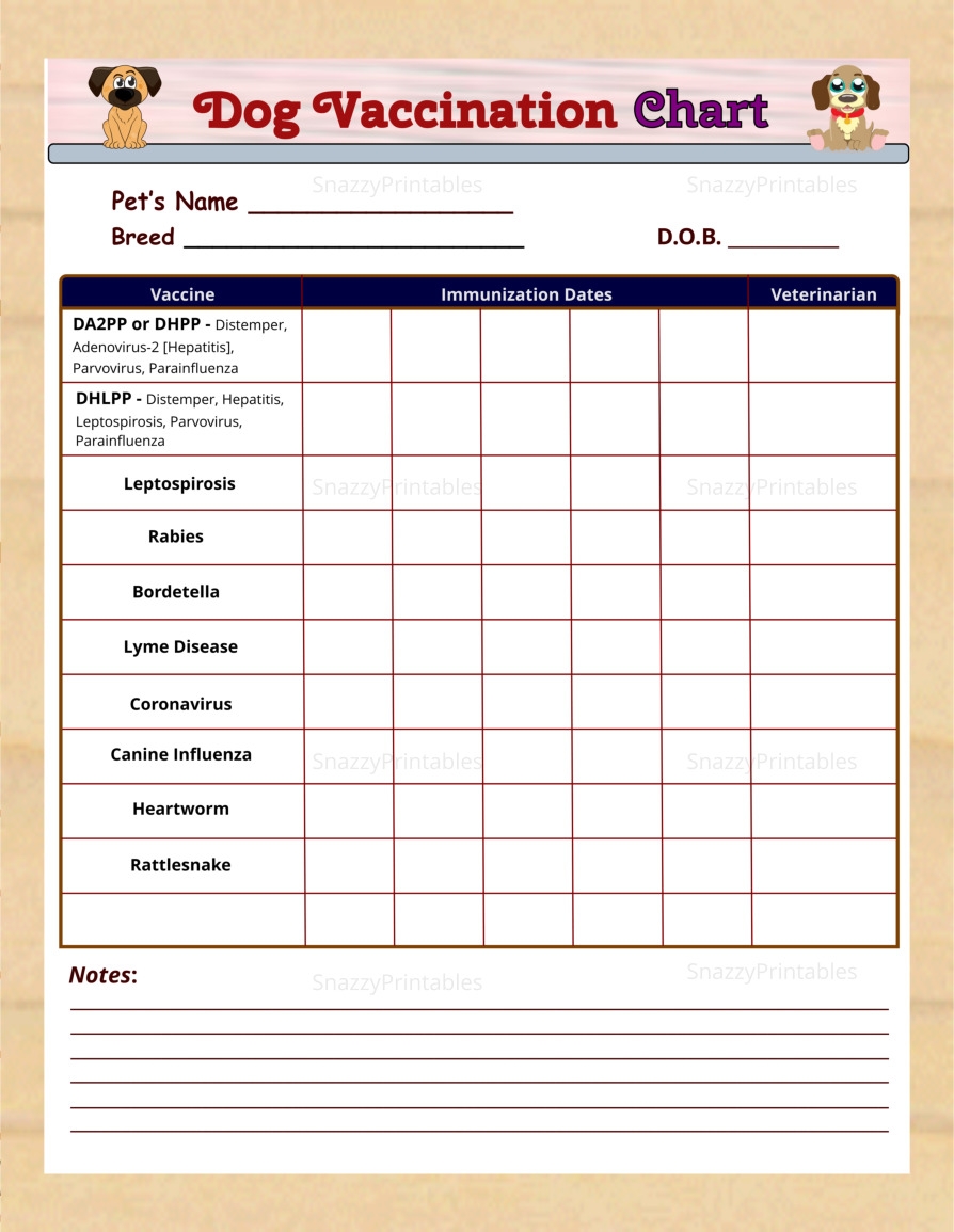 Immunization Schedule Printable