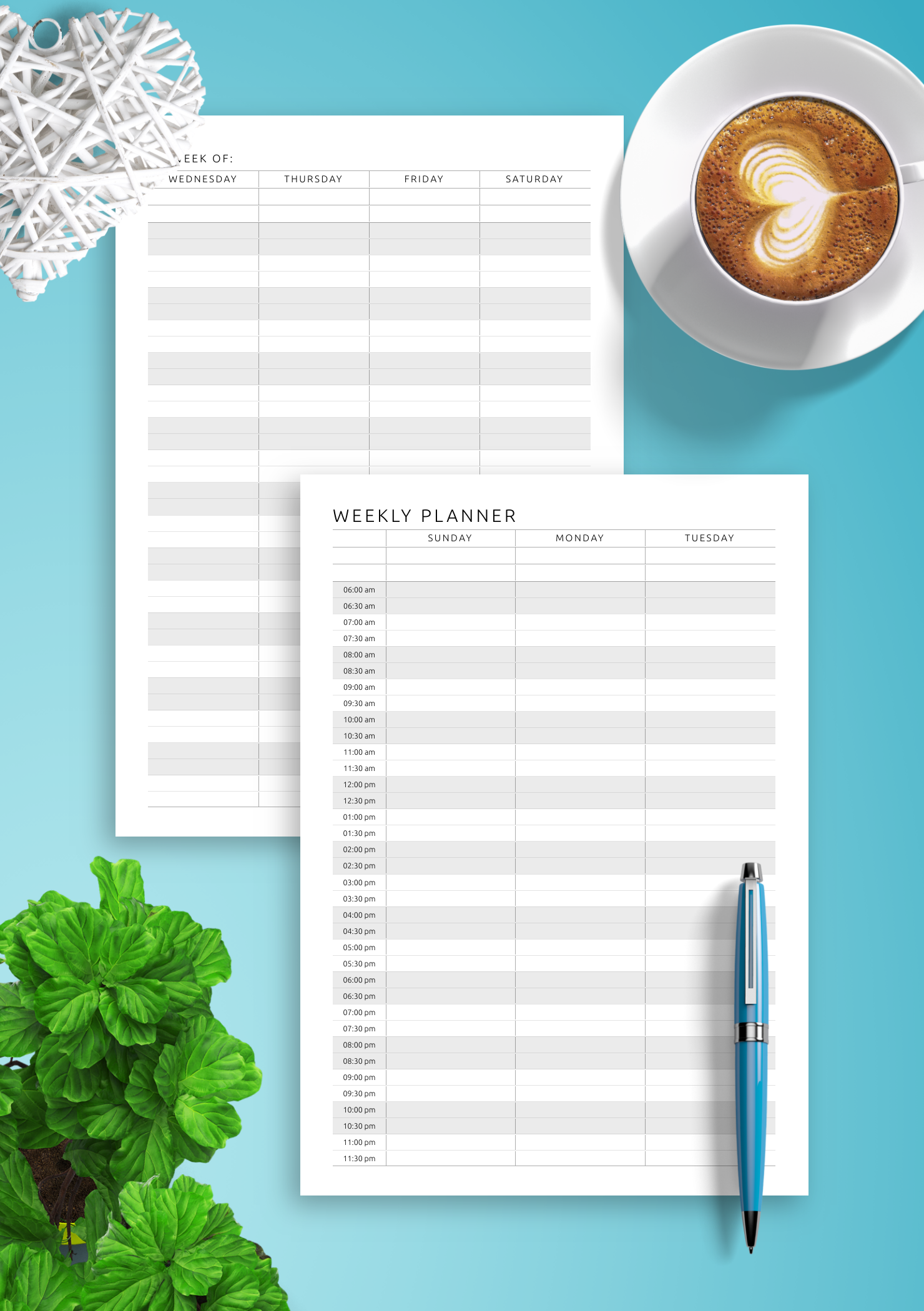 Download Printable Two page Weekly Hourly Scheduler PDF