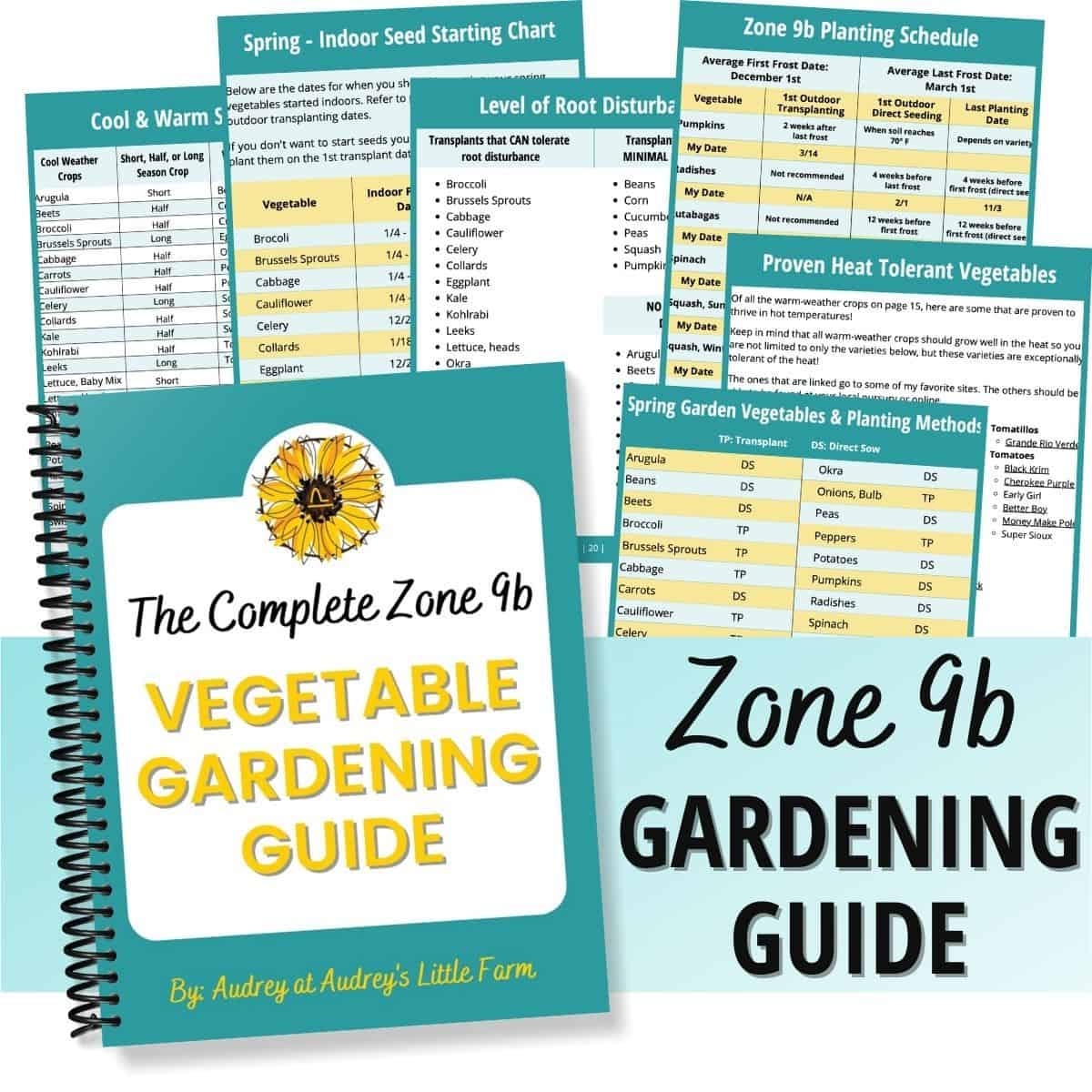 Printable Zone 9b Planting Schedule