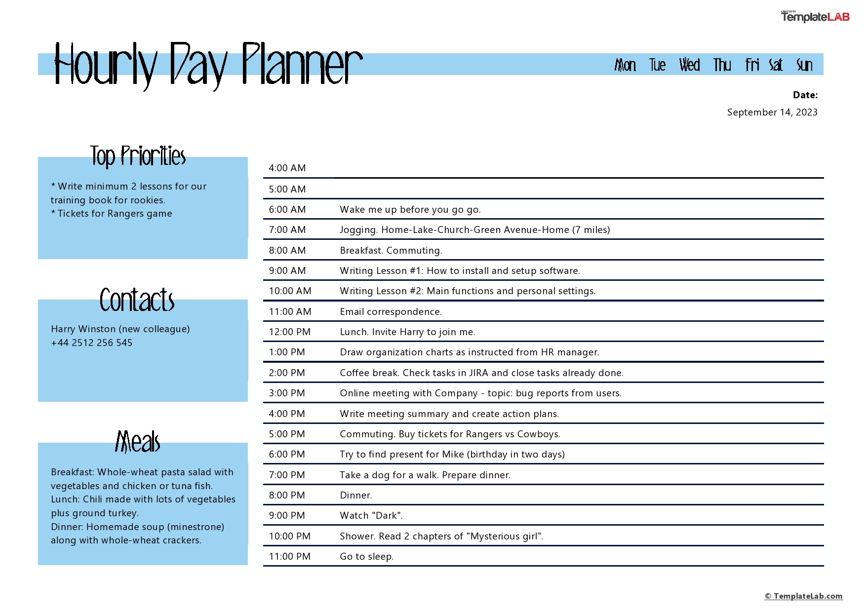 43 Effective Hourly Schedule Templates Excel Word PDF TemplateLab