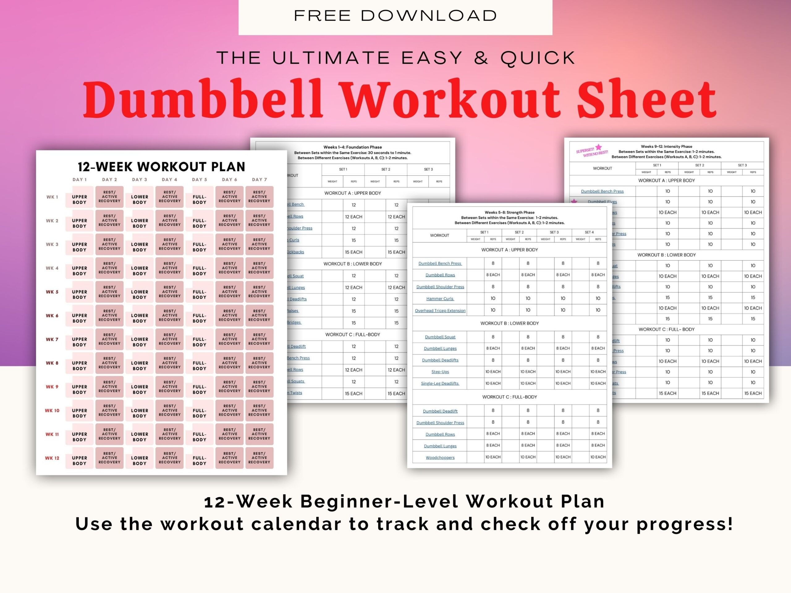 Beginner Friendly 12 Week Dumbbell Workout Plan For Women Home Strength Training Hey Daisy Day