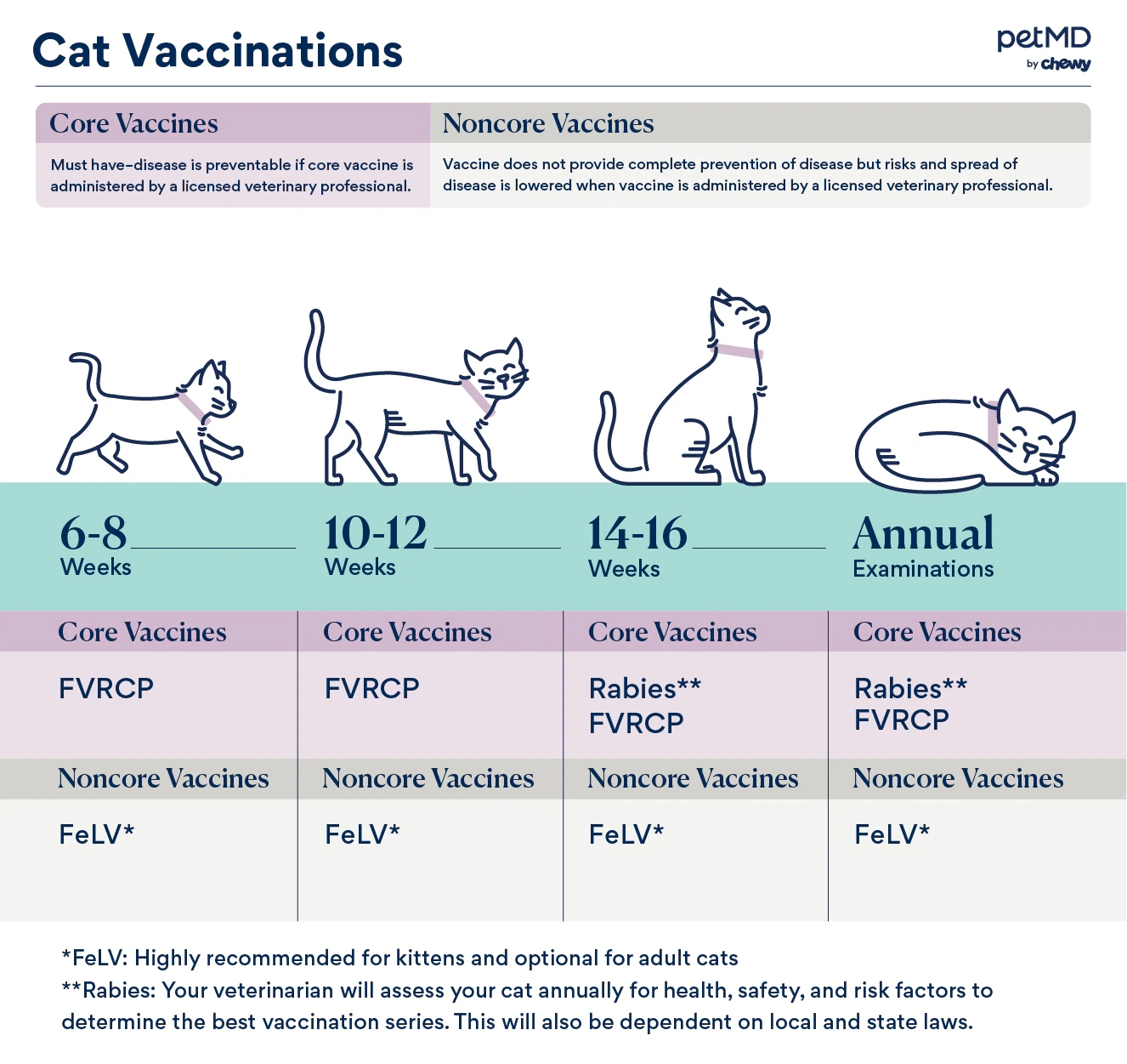 Core Vaccines For Top Dogs And Cats