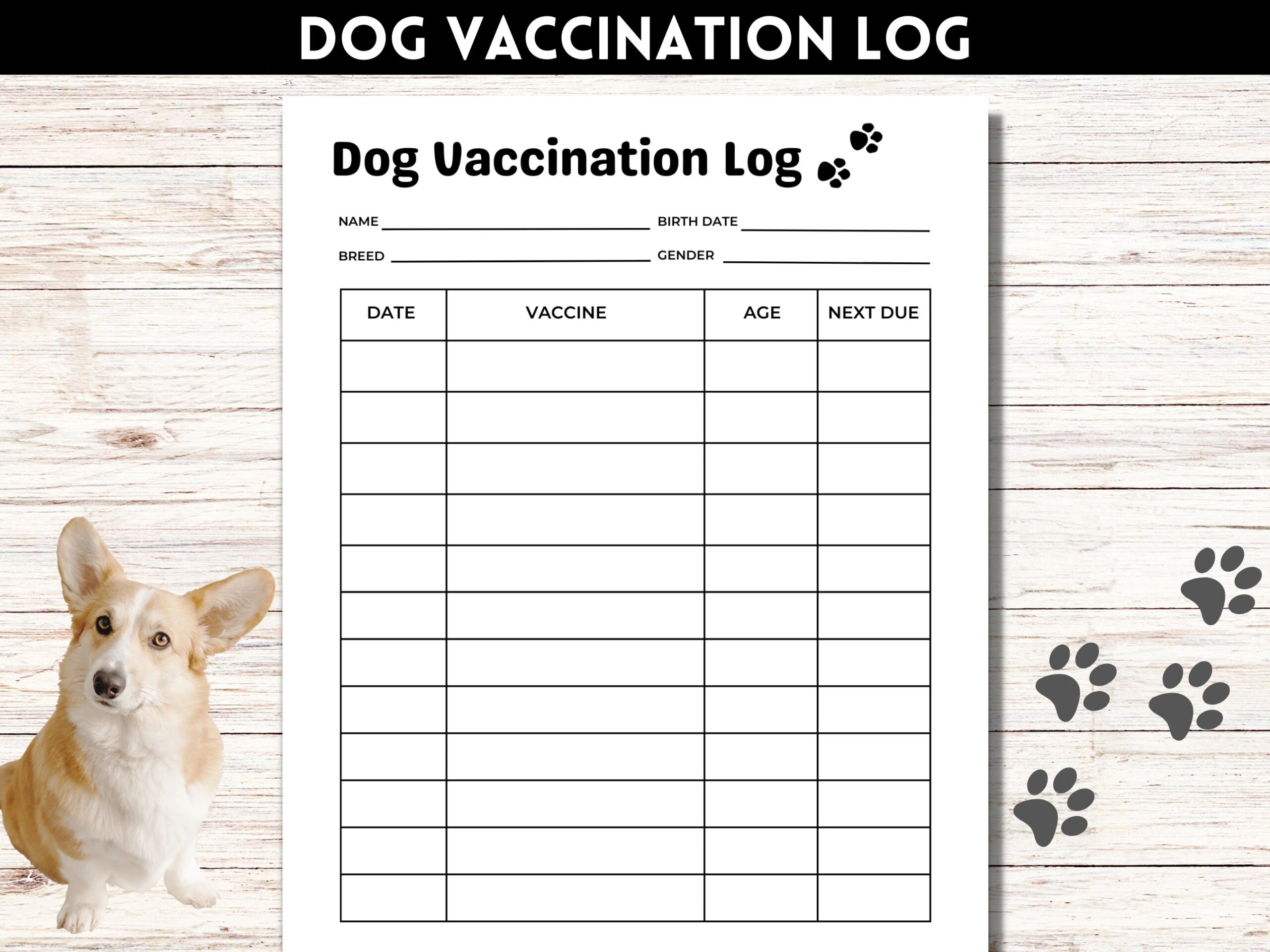 Dog Vaccination Record Pet Vaccination Tracker Puppy Vaccine Log Puppy Shots Record Printable PDF Etsy Finland