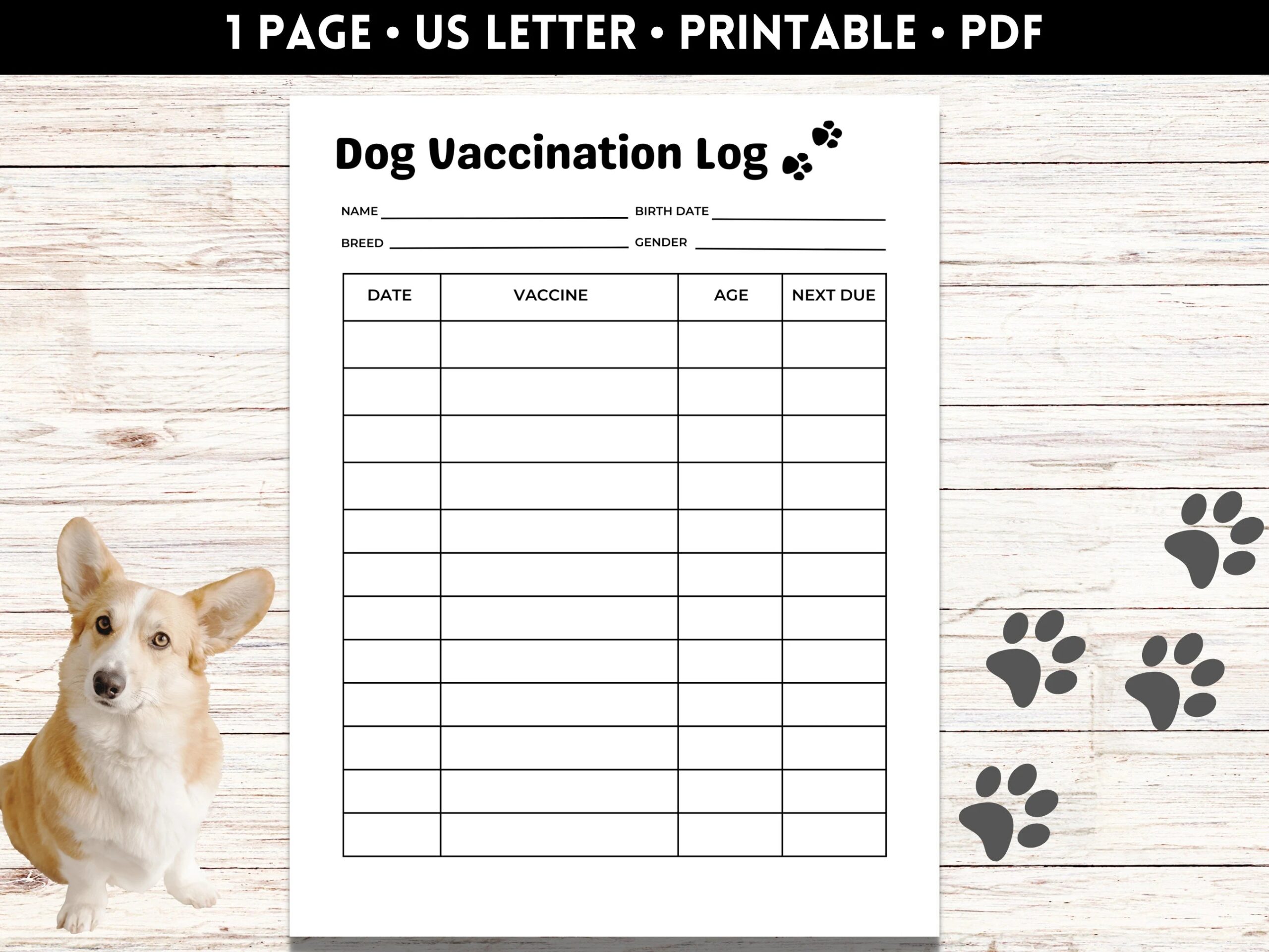 Dog Vaccination Record Pet Vaccination Tracker Puppy Vaccine Log Puppy Shots Record Printable PDF Etsy