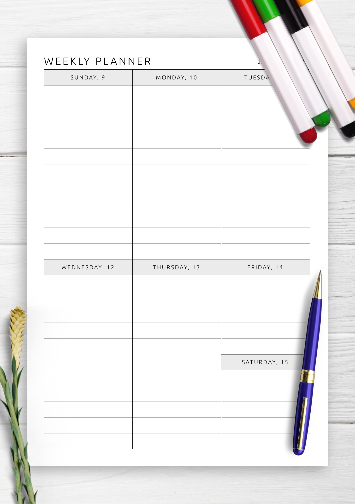 Download Printable Simple Monochrome One Page Weekly Schedule PDF