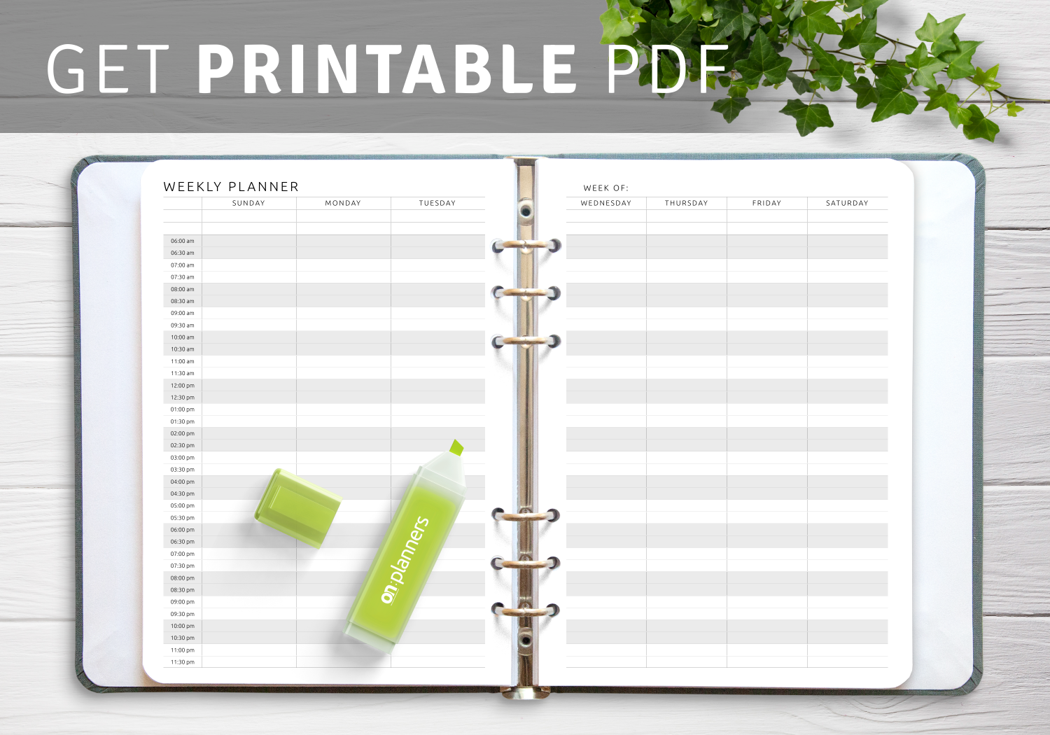 Download Printable Two page Weekly Hourly Scheduler PDF