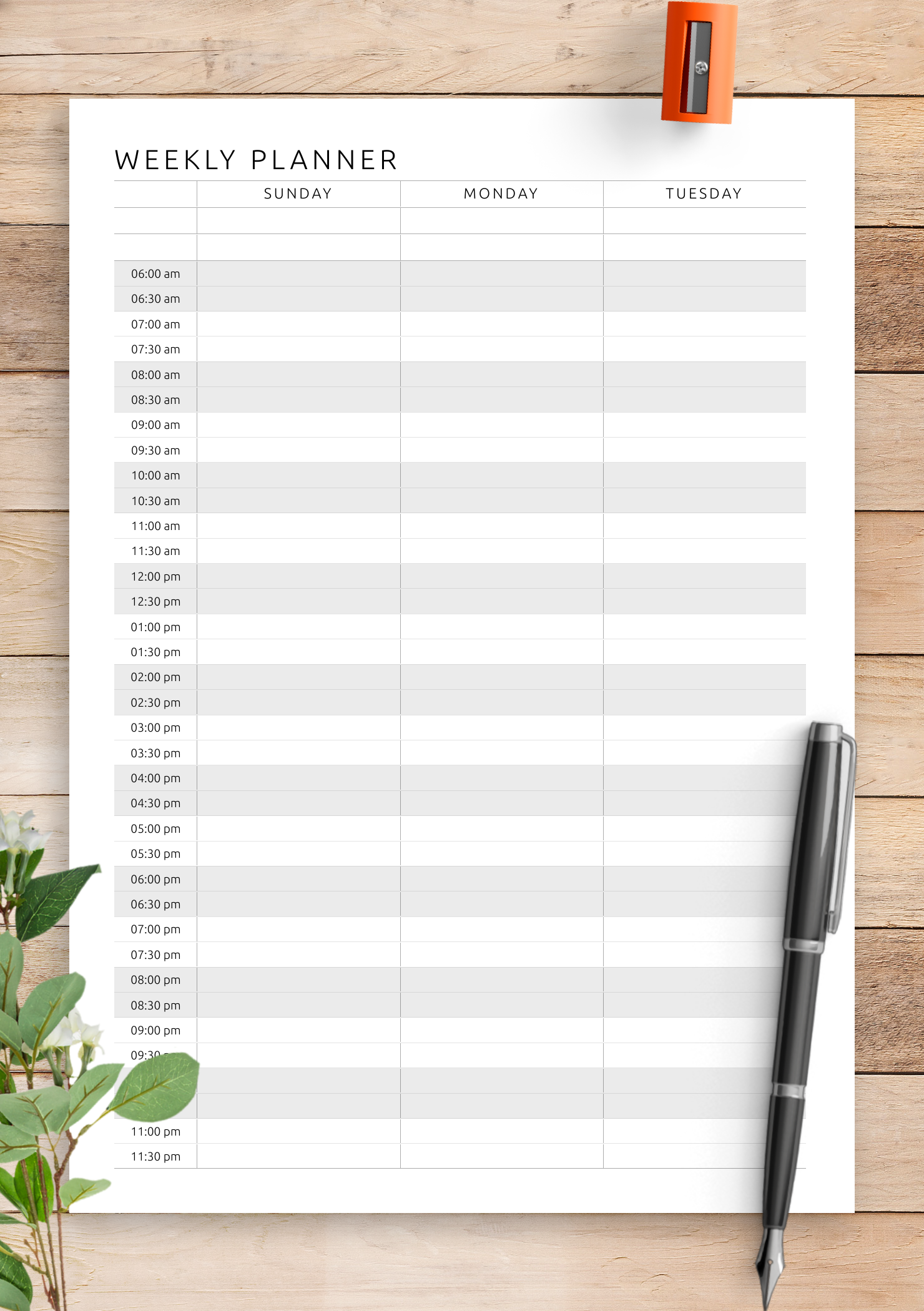 Hour By Hour Daily Schedule Free Printable