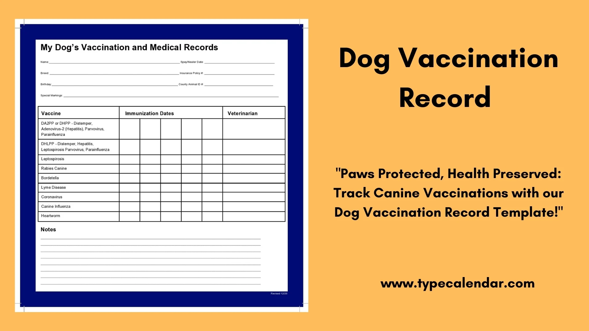 Printable Puppy Vaccine Schedule Chart
