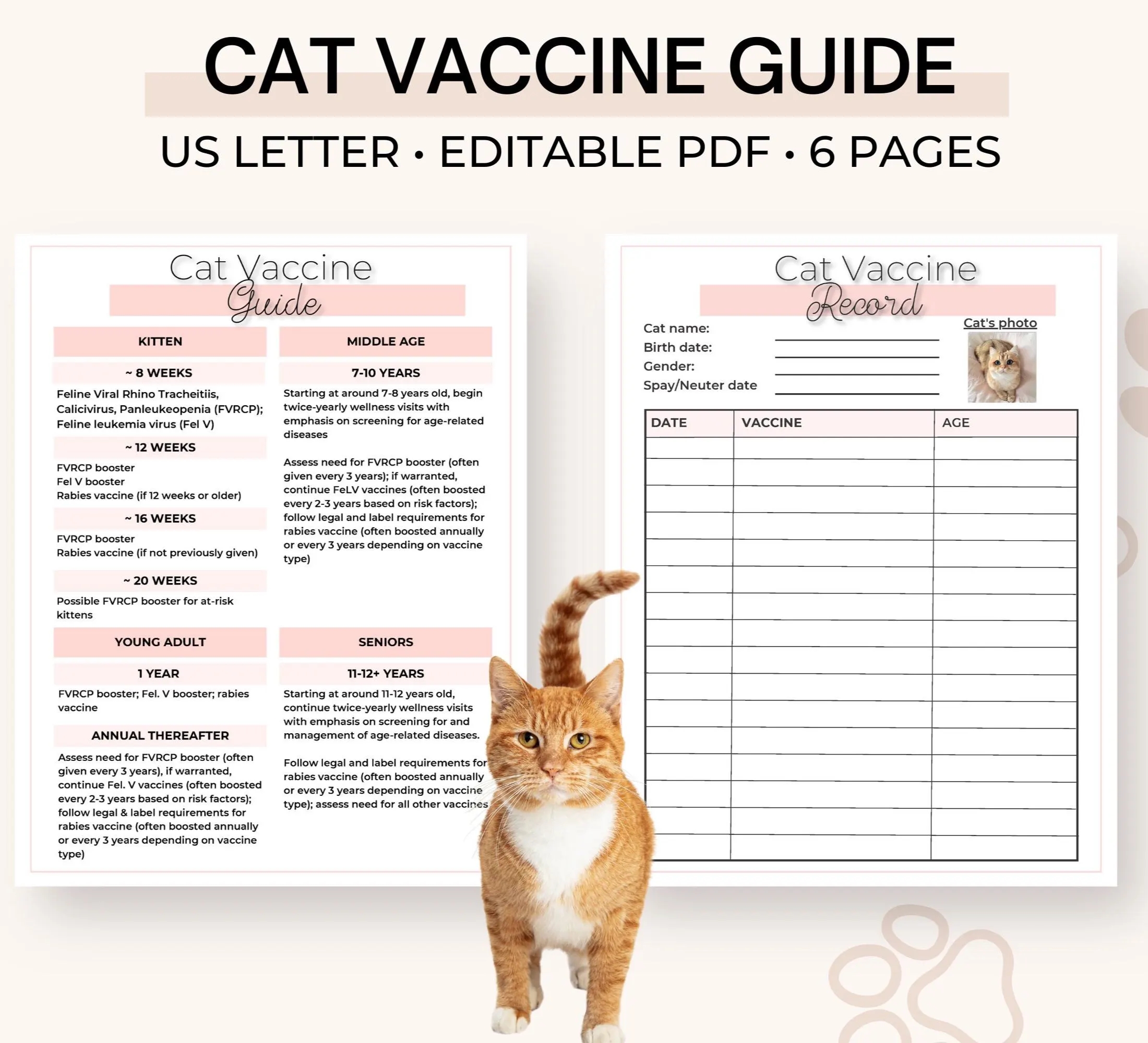 Kitten Vaccine Guide Kitten Vaccine Tracker Cat Vaccine Chart And Guide Cat Breeder Form Best Seling Kitty Vaccine digital Download D001 Etsy