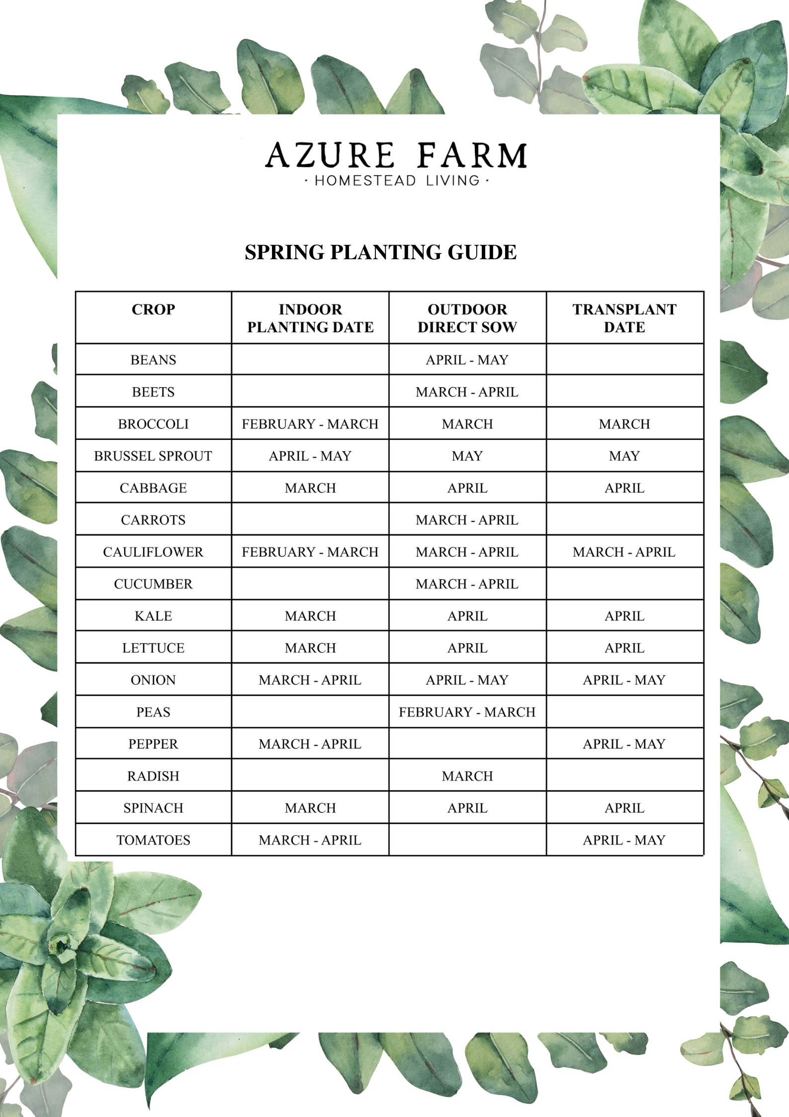 Latest Schedule To Plant Vegetables In Zone 7