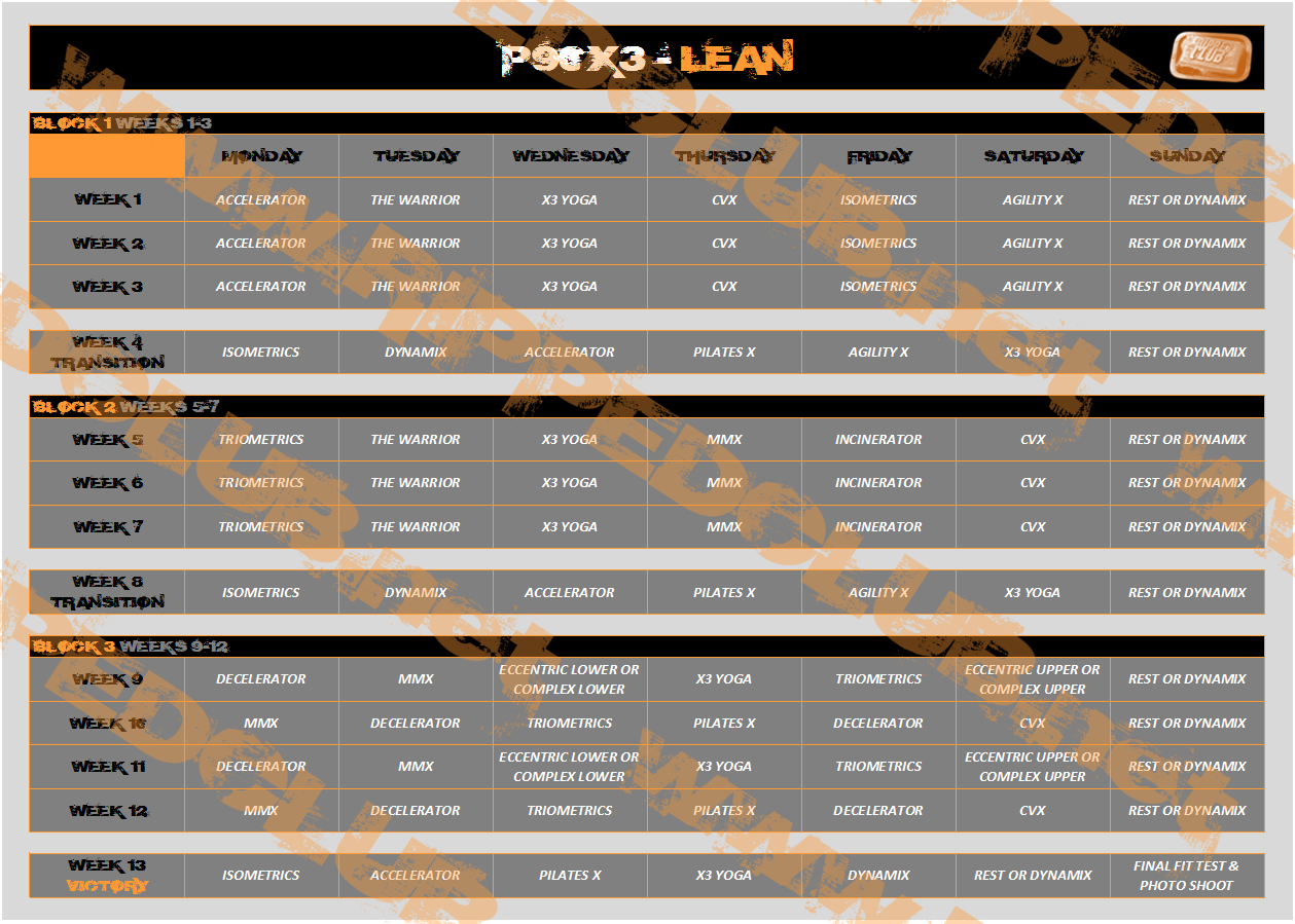 P90x Schedule Sheet P90X Workout Schedule Worksheets Library