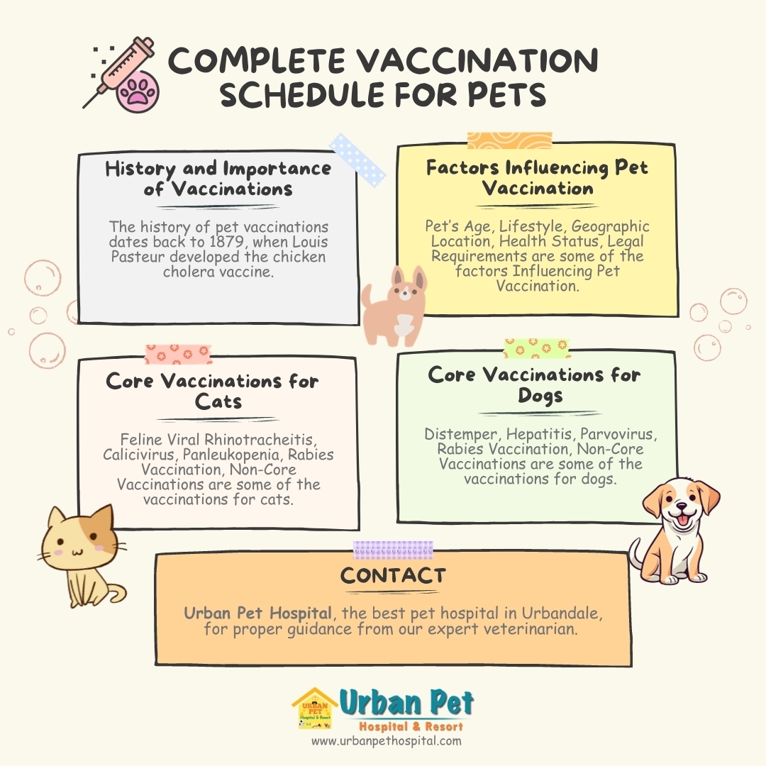 Cat Immunization Schedule Printable