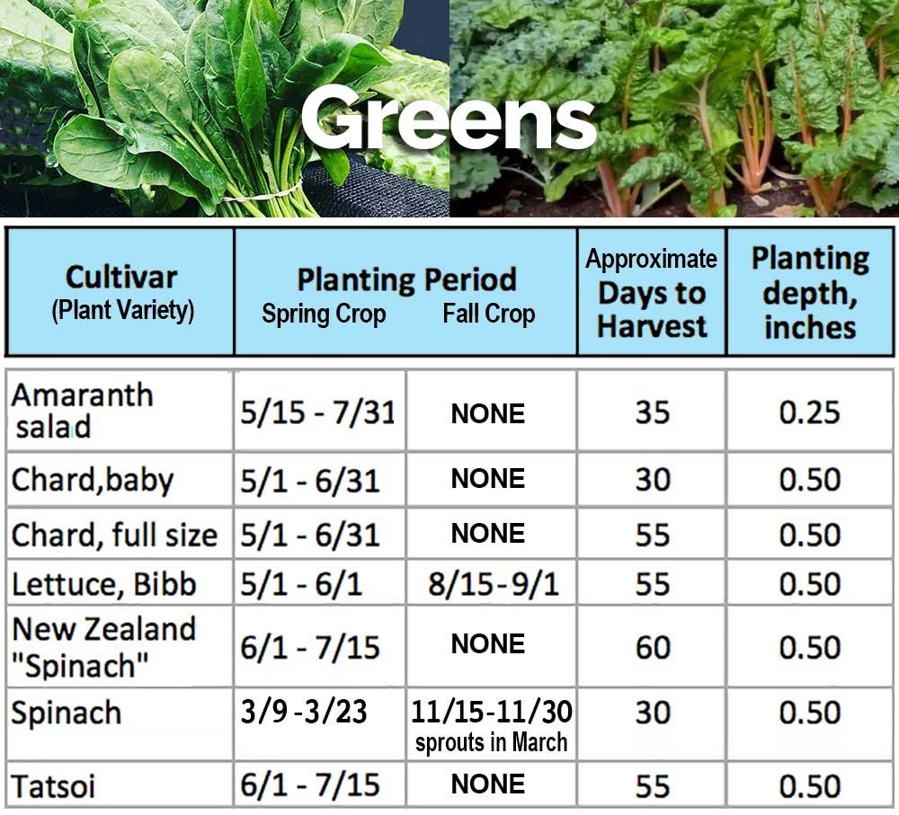 Printable Zone 5 Planting Schedule