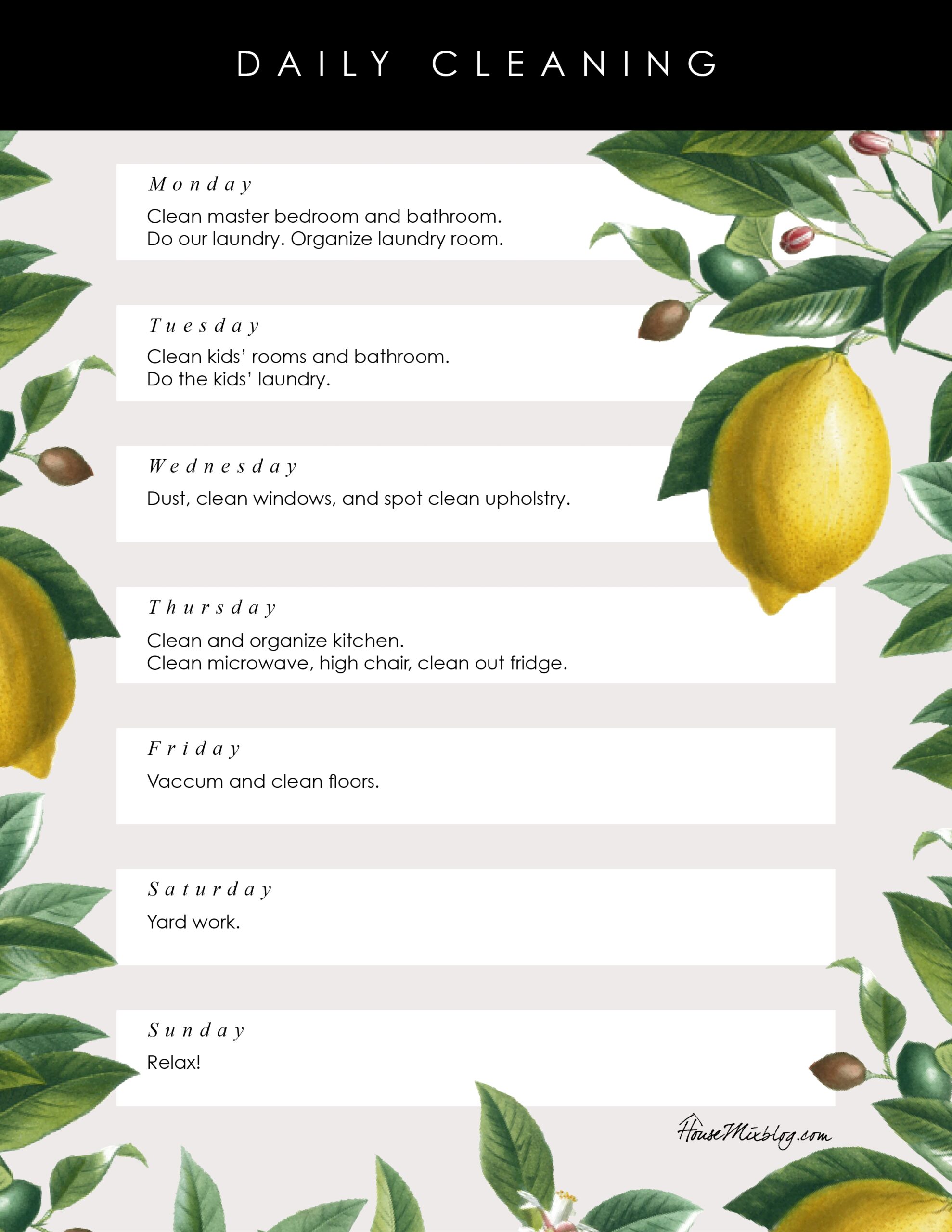 Printable Daily Cleaning Schedule