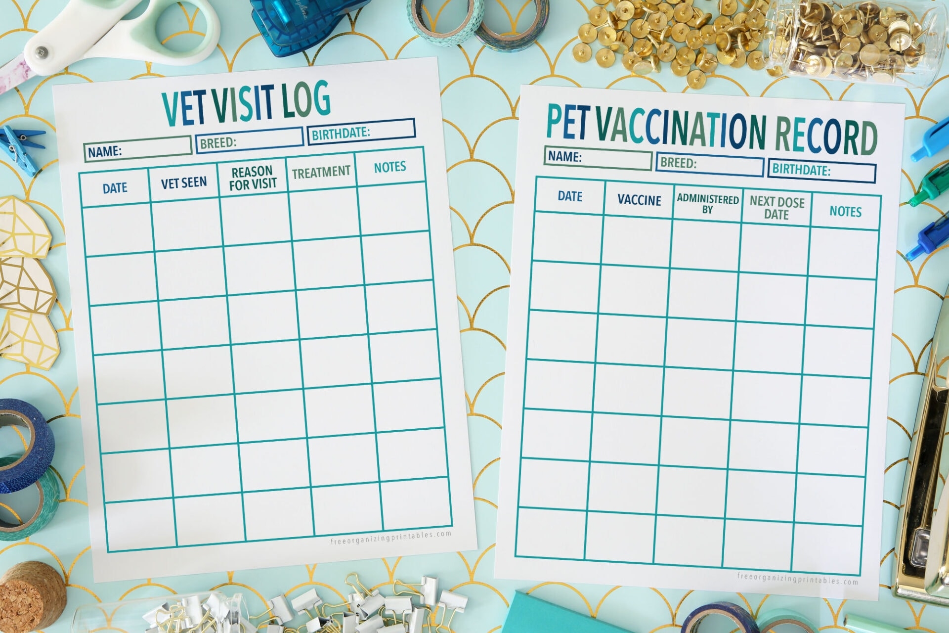 Puppy Shot Schedule Chart Printable