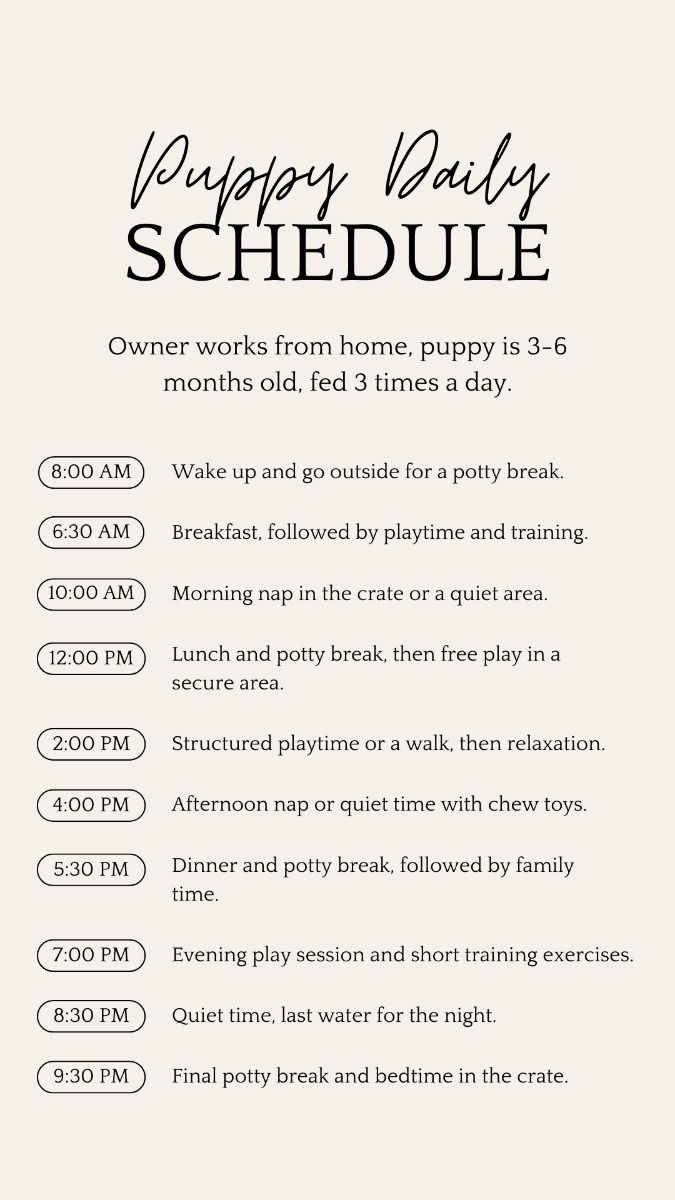 Daily Routine Printable Puppy Schedule