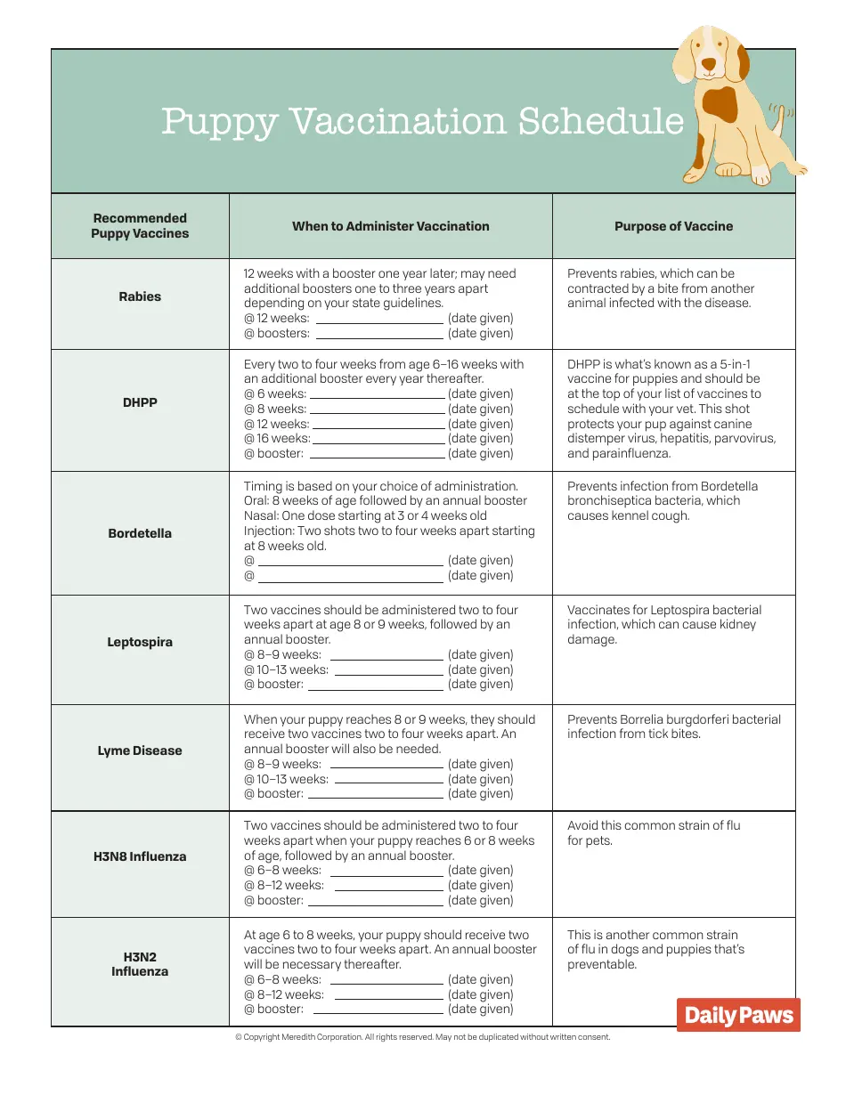 Puppy Vaccination Schedule Meredith Corporation Download Printable PDF Templateroller