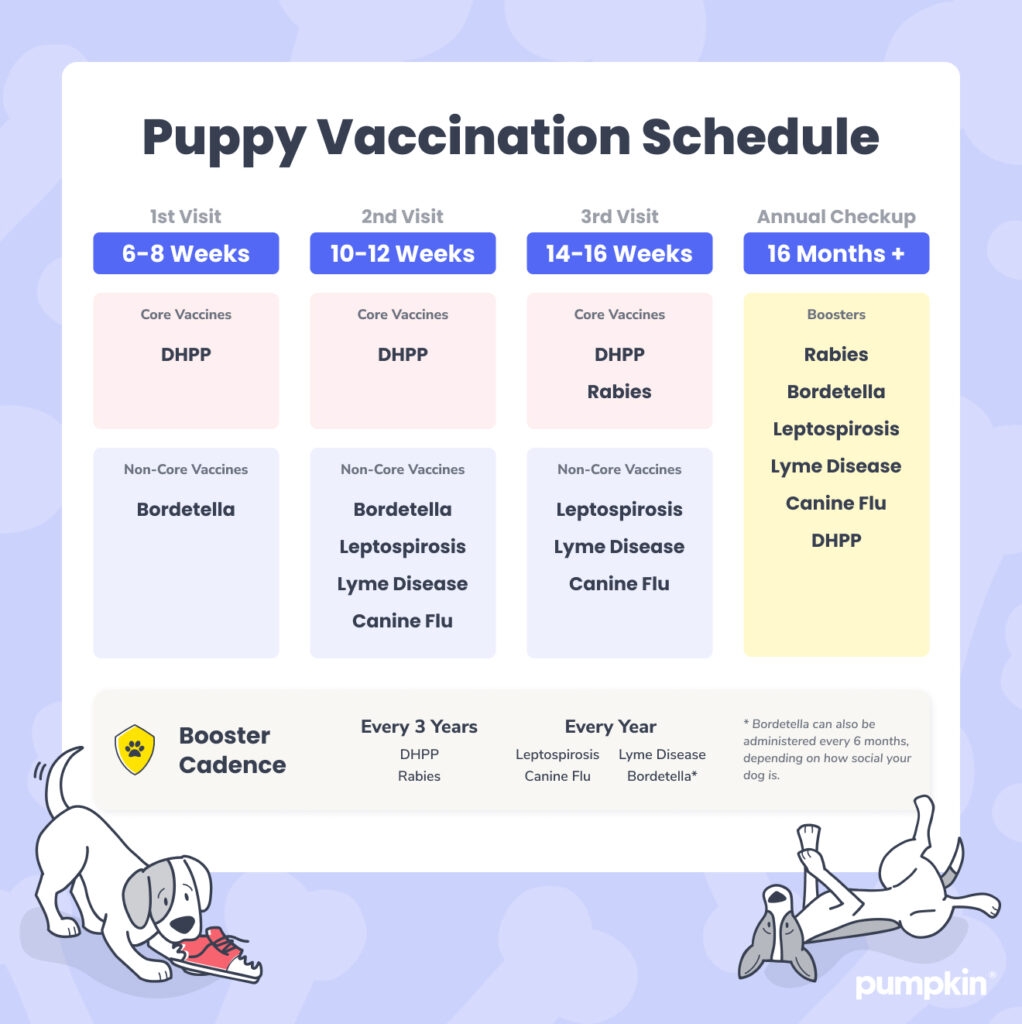 Printable Puppy Deworming Schedule