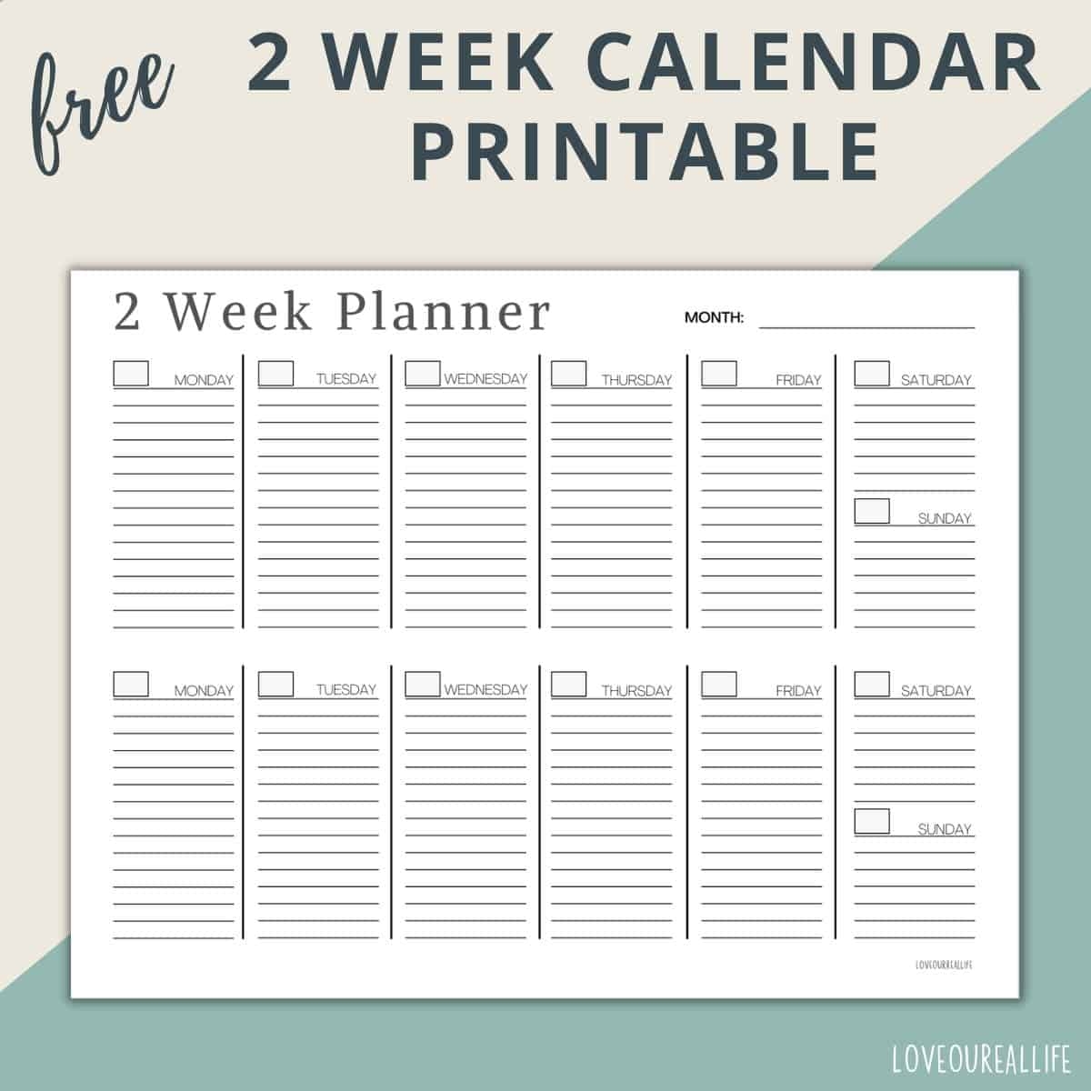 Schedule Printable Template Free