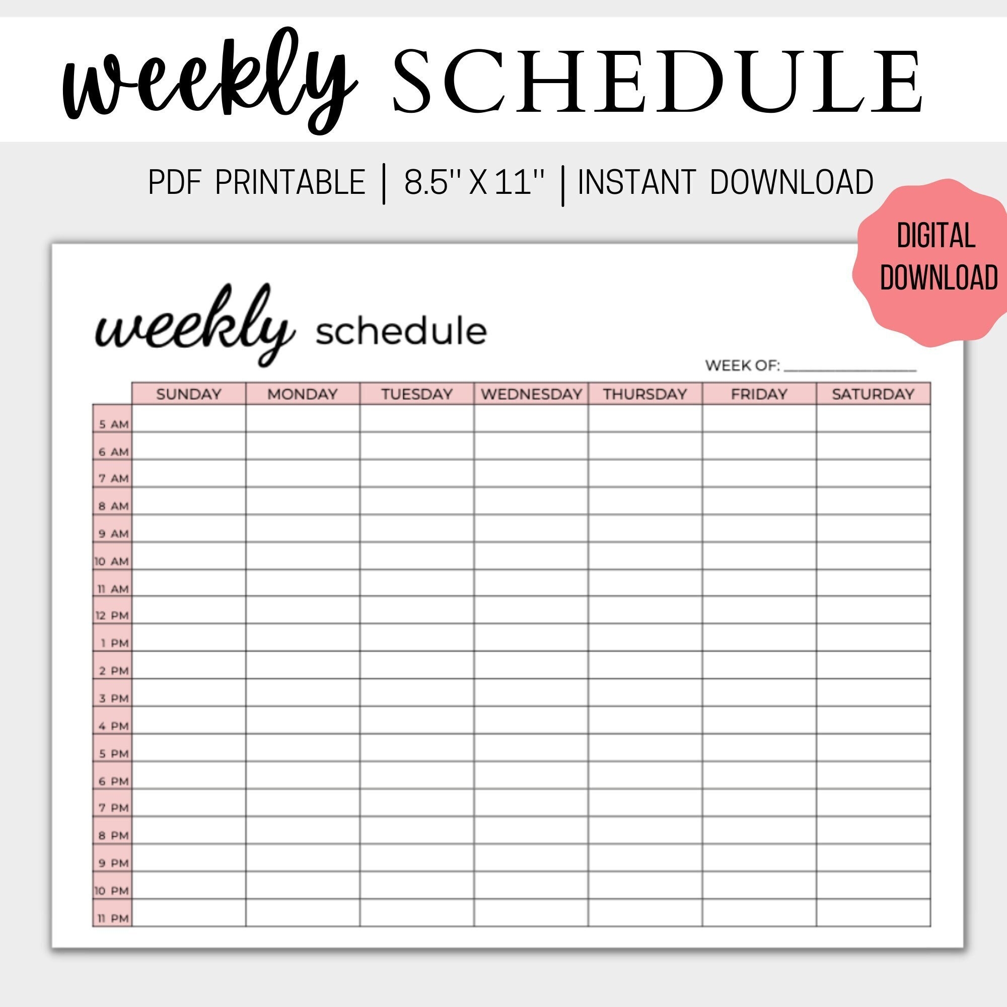 WEEKLY Schedule Template Week At A Glance Printable Hourly Weekly Worksheets Library