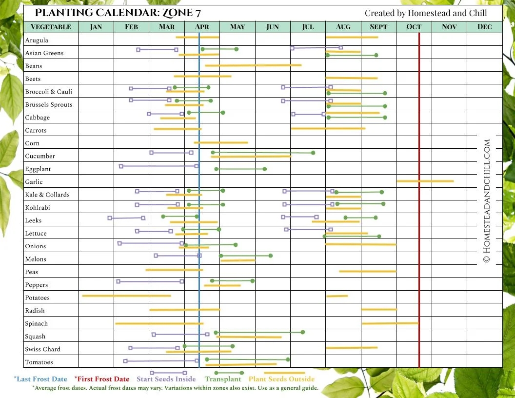 When To Start Seeds Indoors Planting Calendars For Every Zone Homestead And Chill