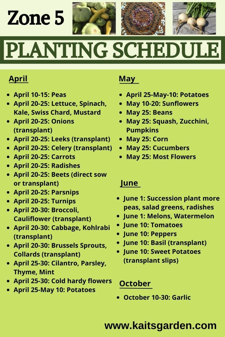 Zone 5 Planting Schedule