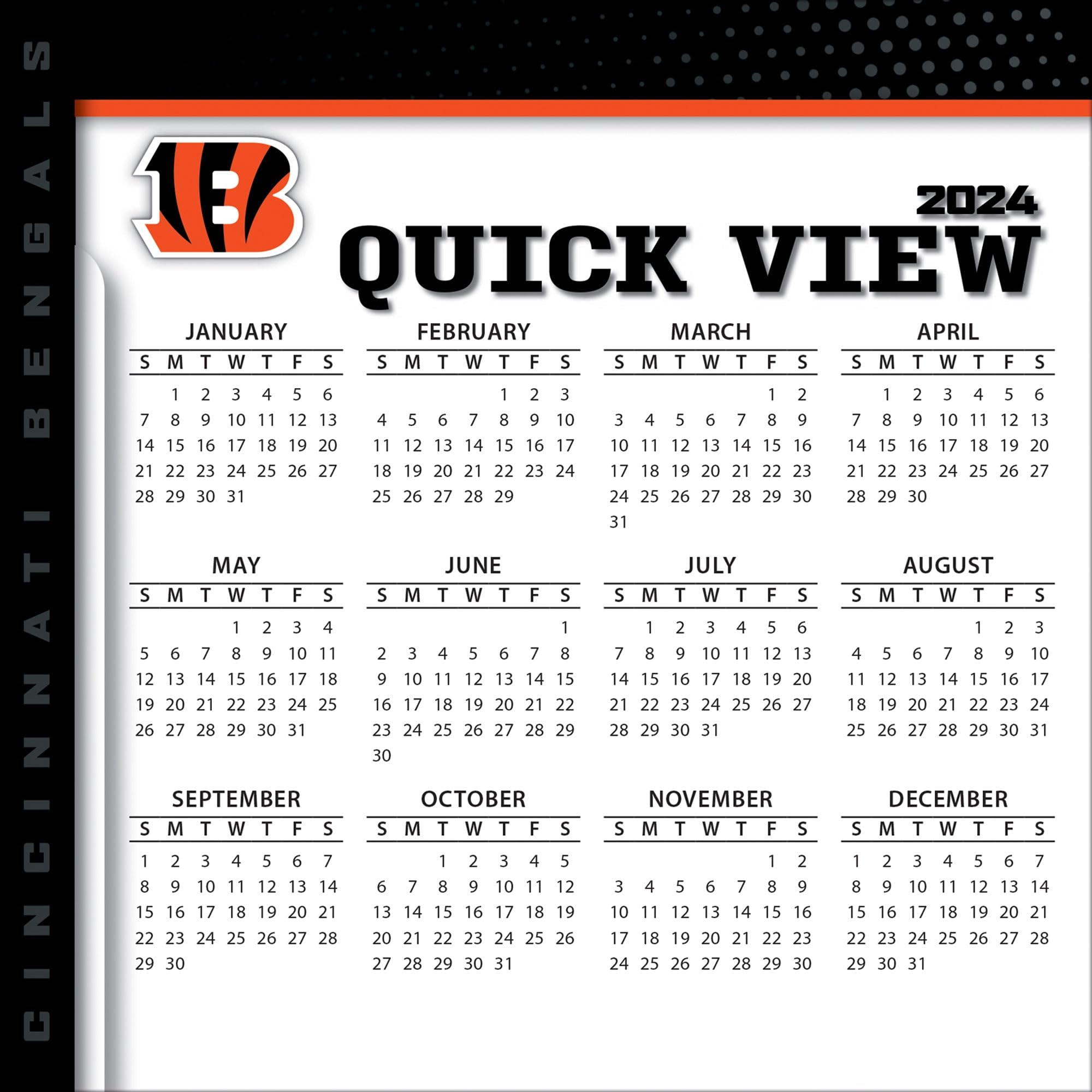 Amazon Turner Sports Cincinnati Bengals 2024 Box Calendar 24998053034 Turner Licensing Sports Outdoors